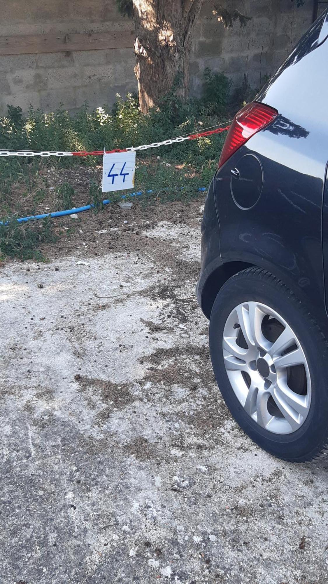 Apartment Zdenac Rovinj Ngoại thất bức ảnh